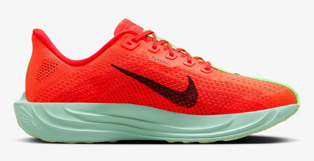 Men's Nike Pegasus Plus