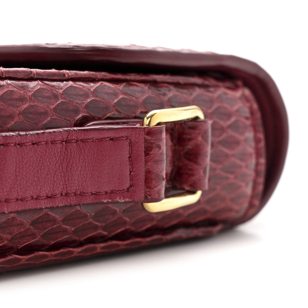 Watersnake Teen Triomphe Ruby
